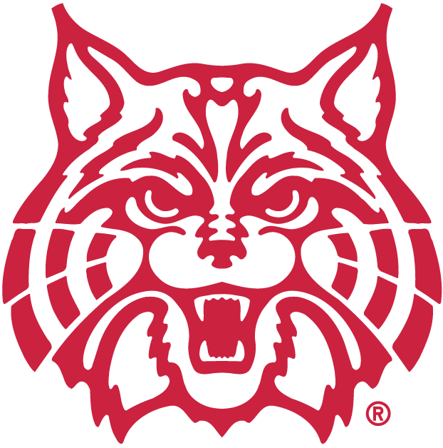 Arizona Wildcats 1990-Pres Alternate Logo v3 iron on transfers for T-shirts